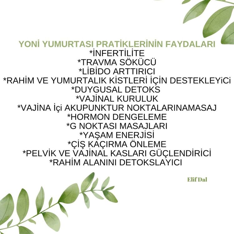 YONİ YUMURTASI 