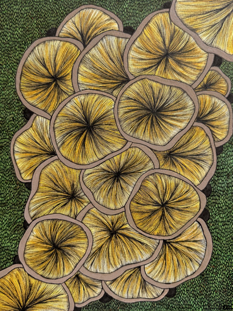 Fungi Gills