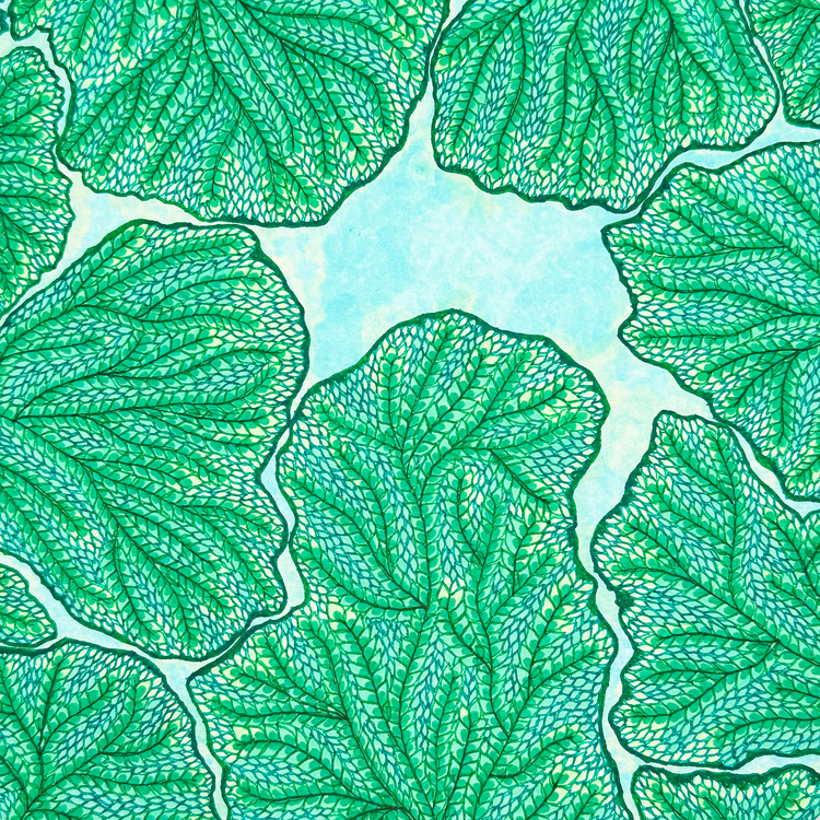 Crown Shyness
