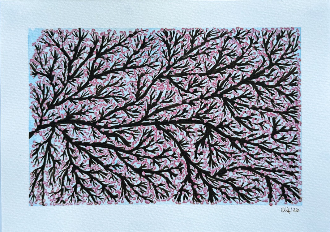 Mini Cherry