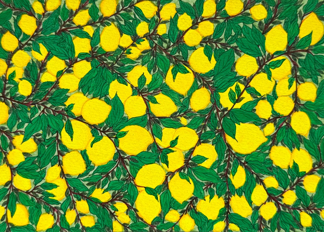 Little Lemon Tree