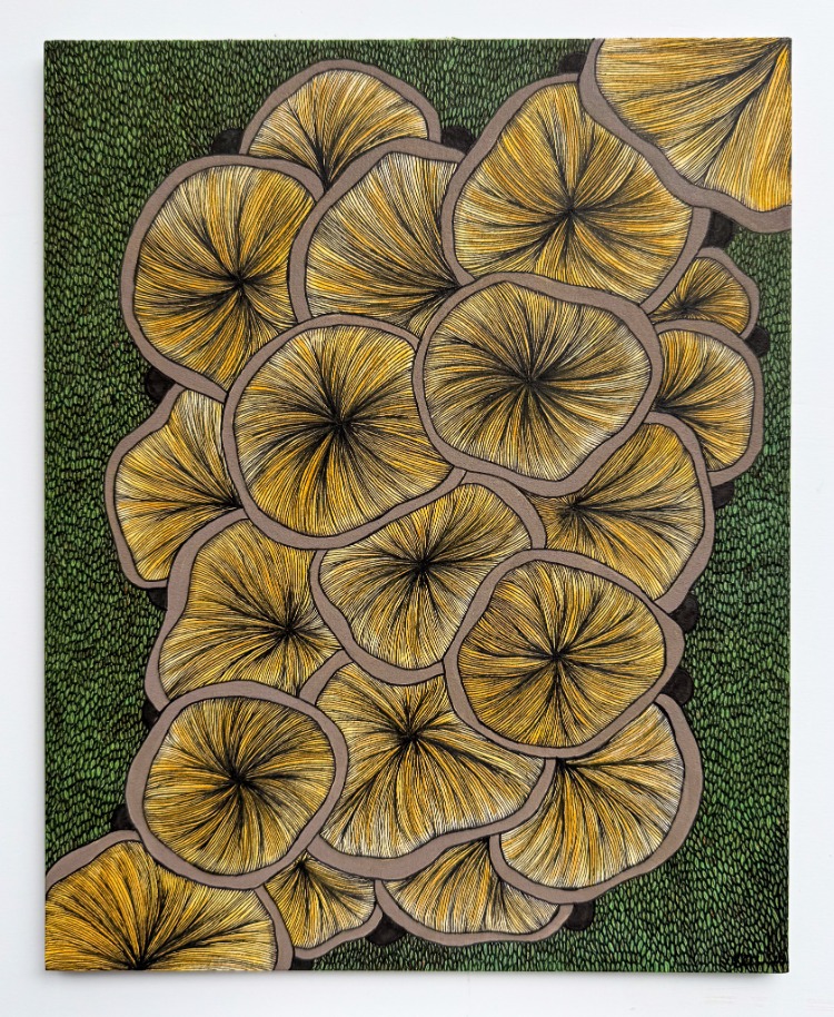 Fungi Gills