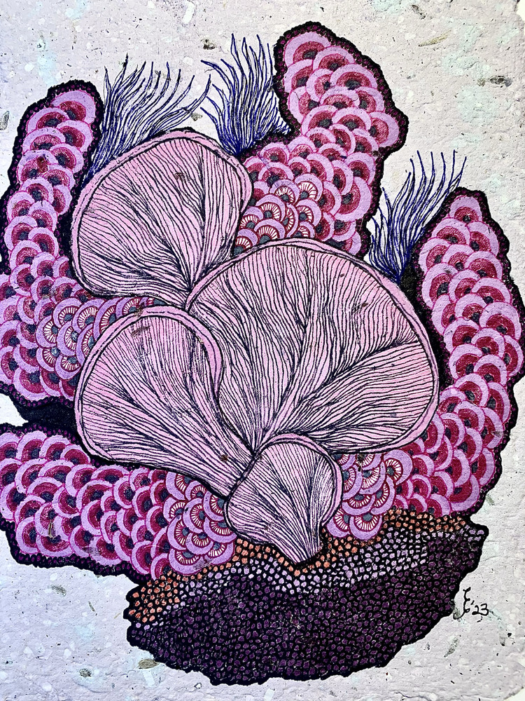 Purple Reef