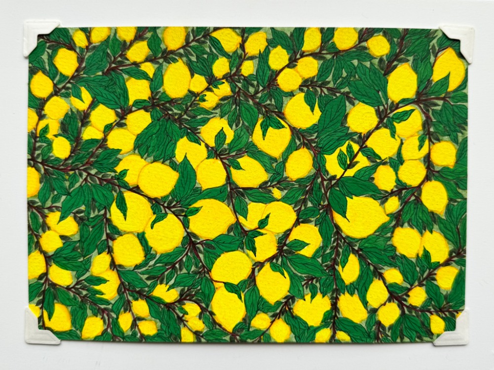 Little Lemon Tree