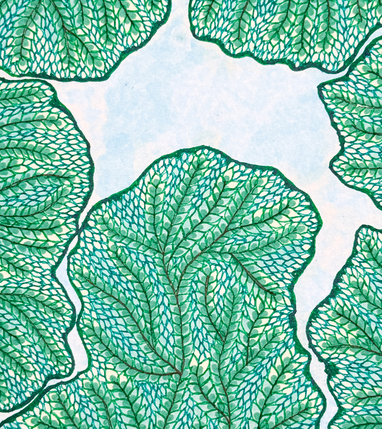 Crown Shyness