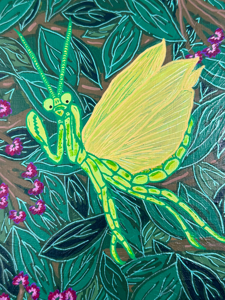Mantis