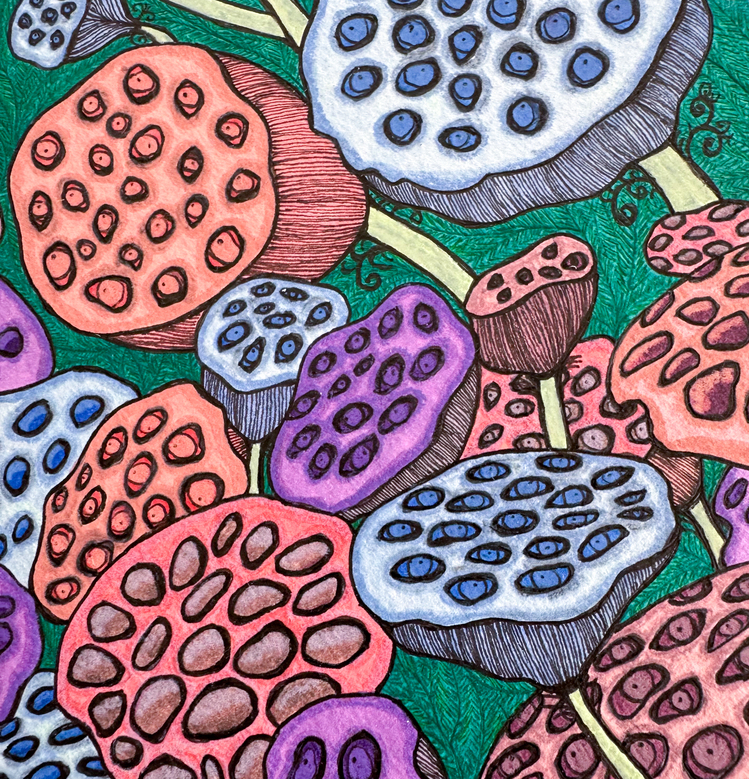 Lotus Pods