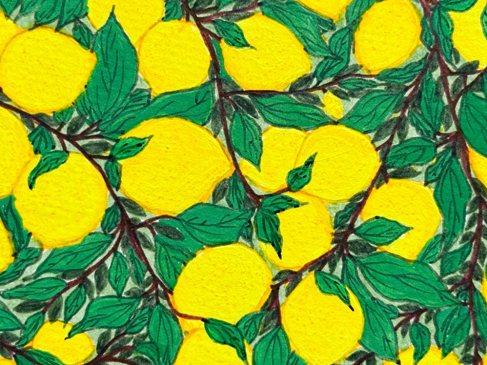 Little Lemon Tree
