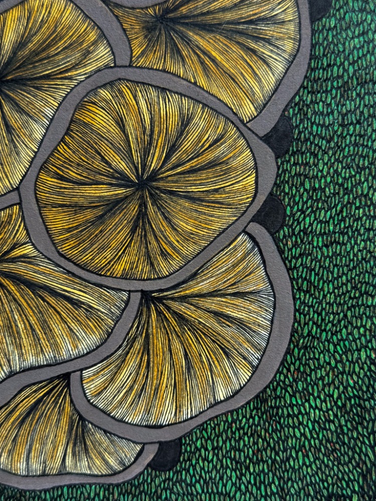 Fungi Gills