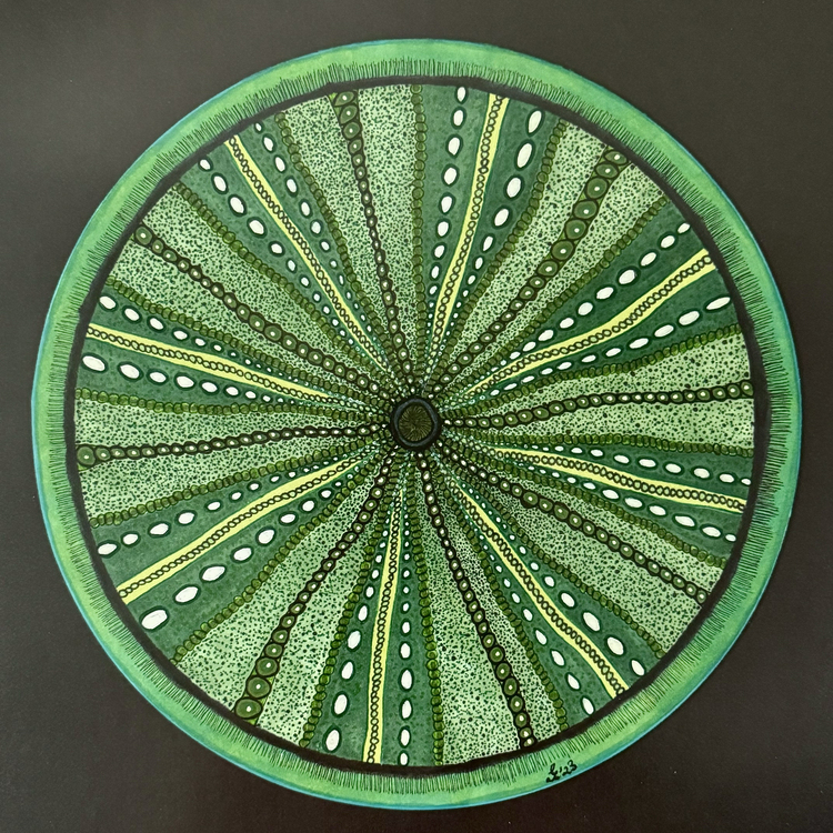 The Urchin