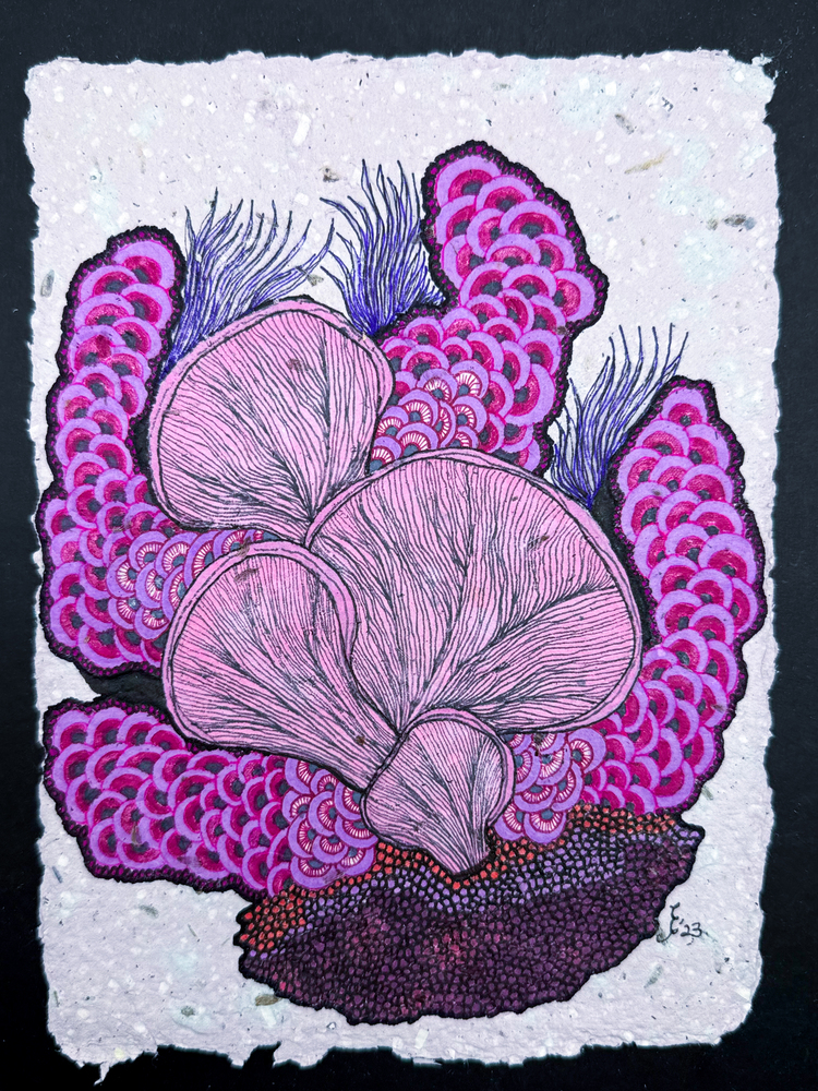 Purple Reef