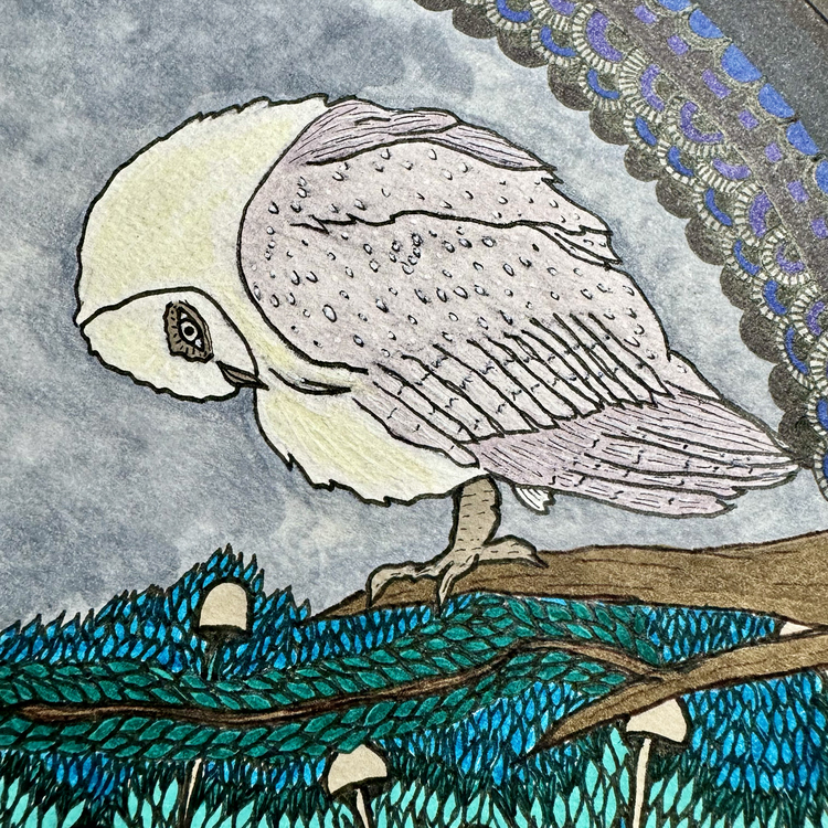 The Owl