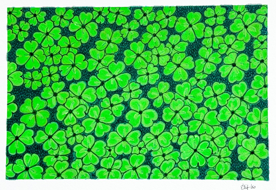 Mini Clover