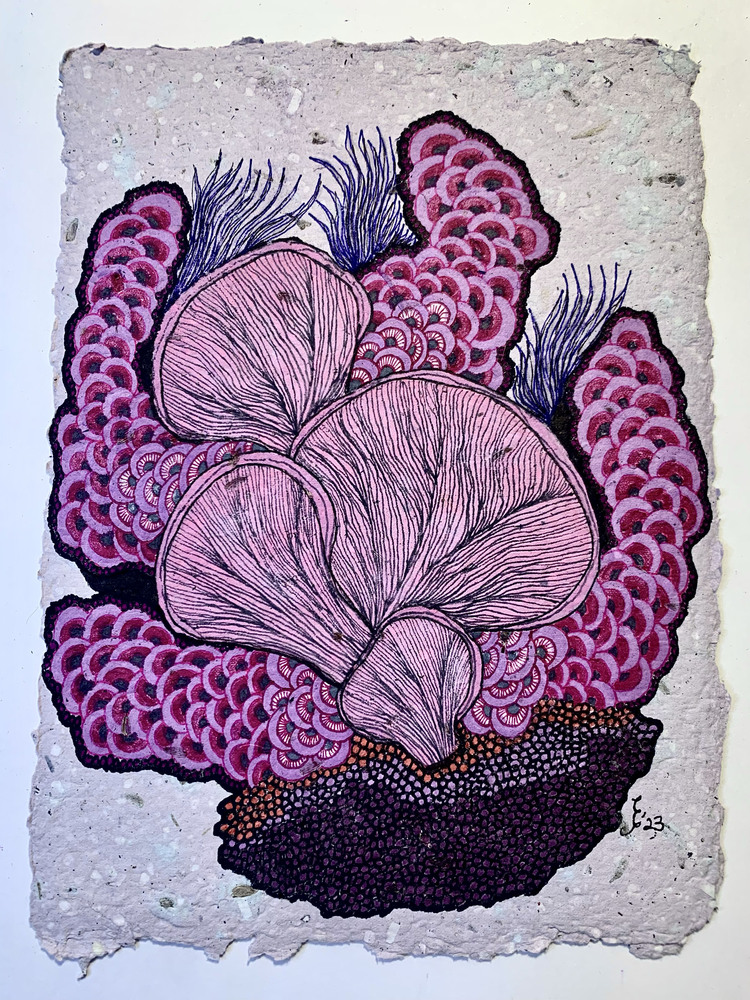 Purple Reef