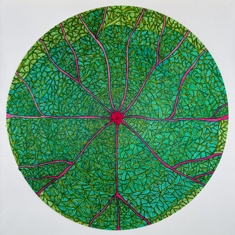 A Leaf