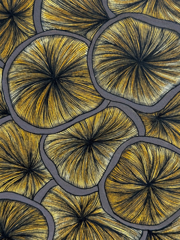 Fungi Gills