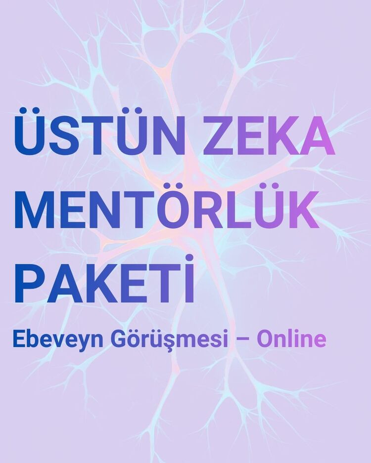 ÜSTÜN ZEKÂ FARKINDALIĞI MENTÖRLÜK PAKETİ