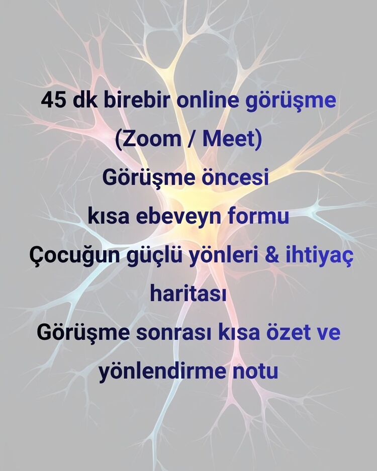 ÜSTÜN ZEKÂ FARKINDALIĞI MENTÖRLÜK PAKETİ