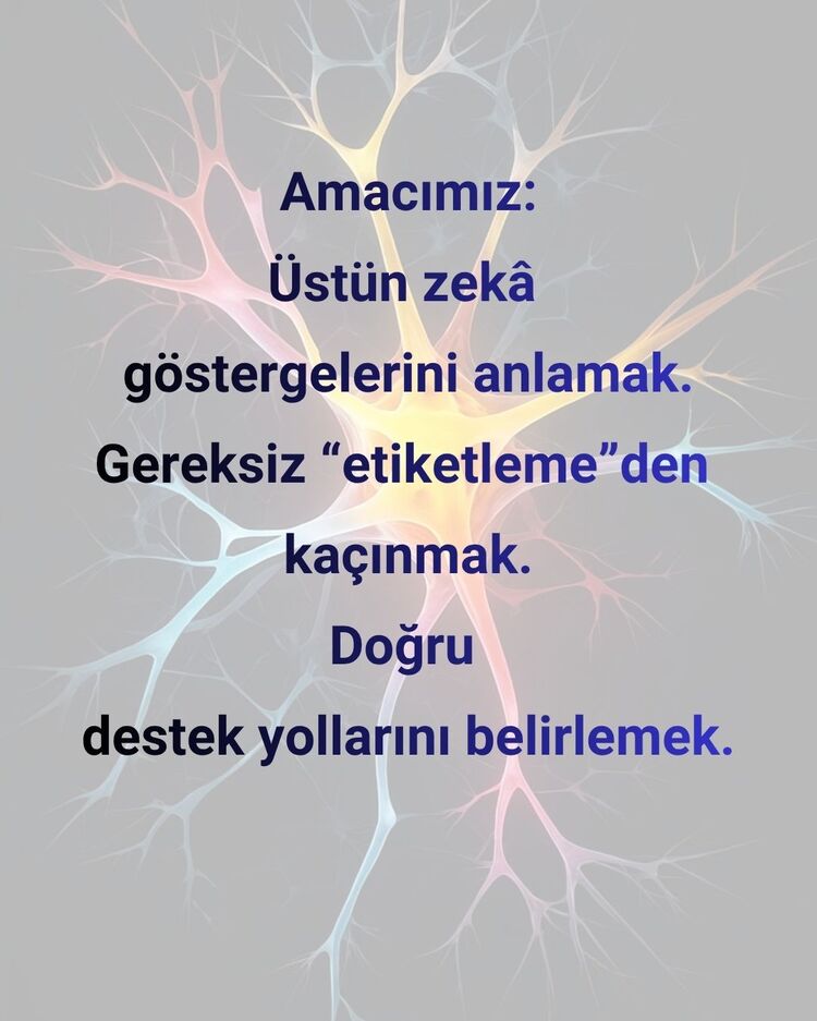 ÜSTÜN ZEKÂ FARKINDALIĞI MENTÖRLÜK PAKETİ