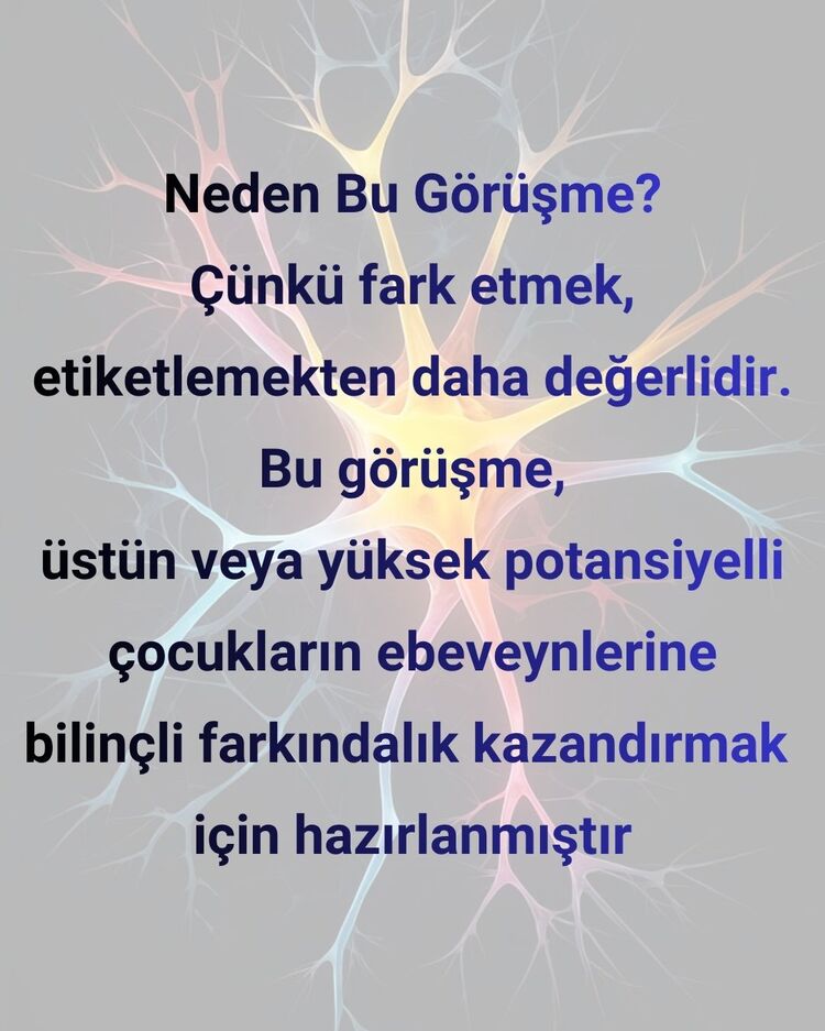 ÜSTÜN ZEKÂ FARKINDALIĞI MENTÖRLÜK PAKETİ