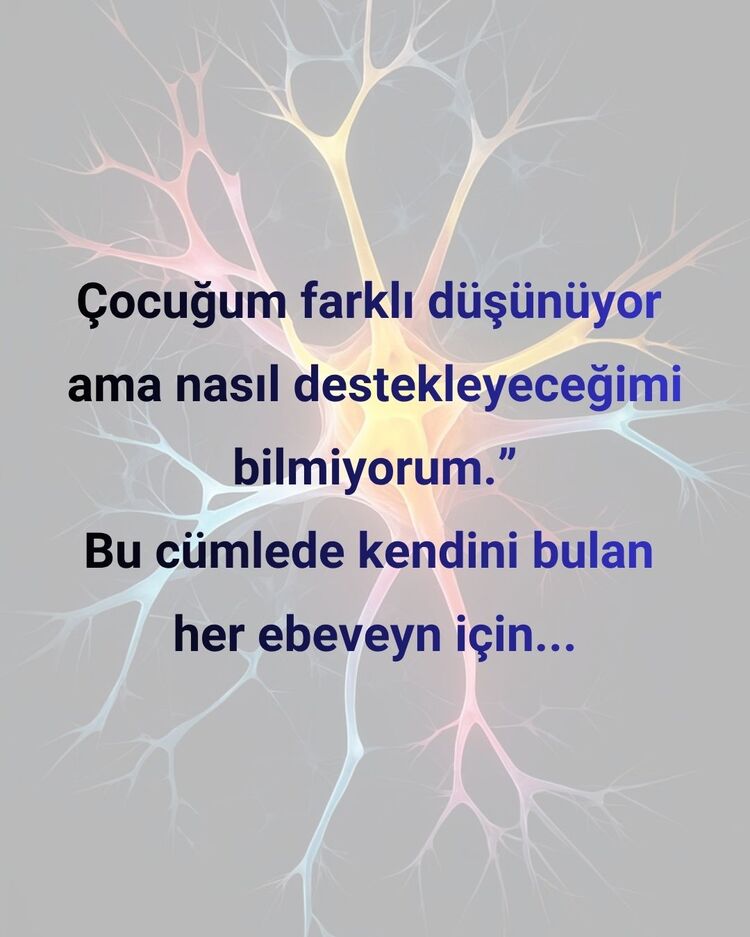ÜSTÜN ZEKÂ FARKINDALIĞI MENTÖRLÜK PAKETİ