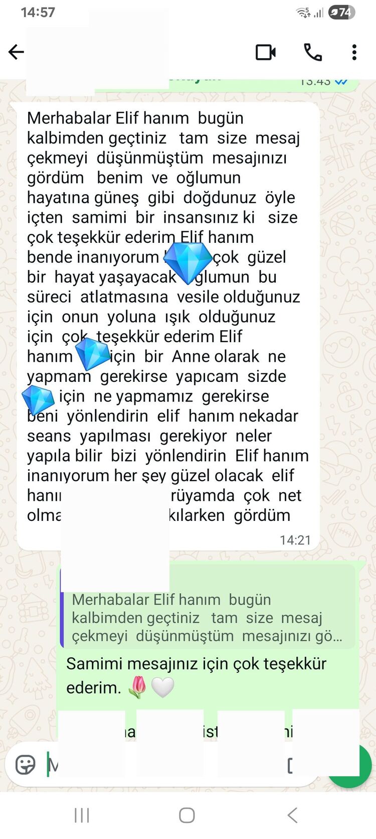 ÖĞRENCİ KOÇLUĞU 2 BLOG SEANS TEK OTURUM