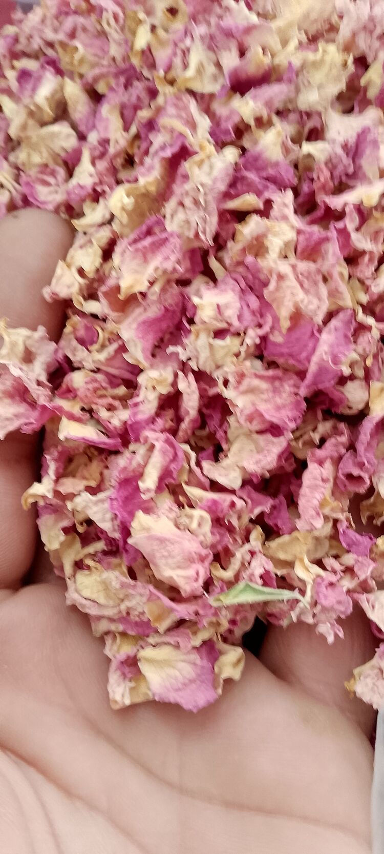 25gr kurutulmuş gül yaprağı kurusu