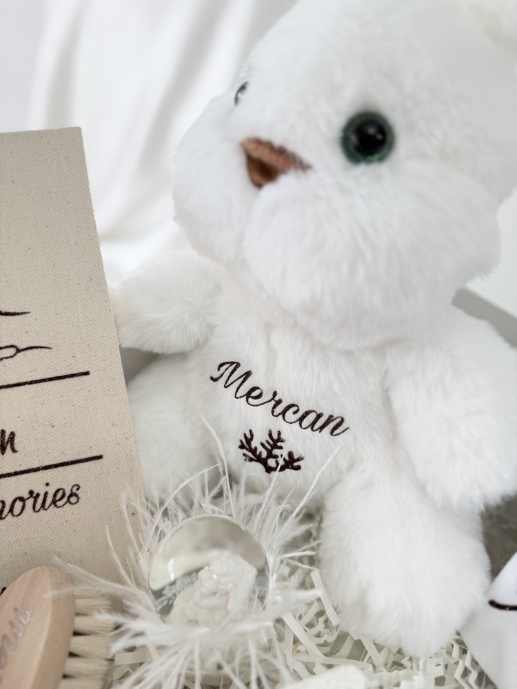 Eloria Elite Baby Box