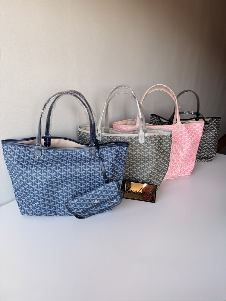 Goyard Anjou Pm Bag