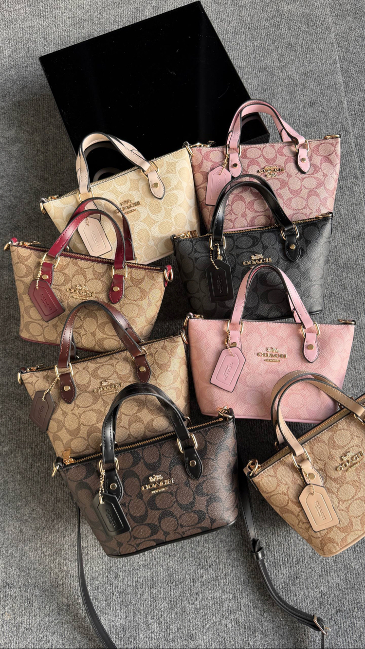 Coach Mini Gallery Bag