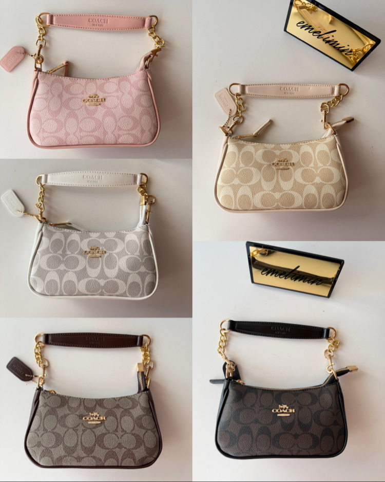 Coach Mini Teri Shoulder Bag