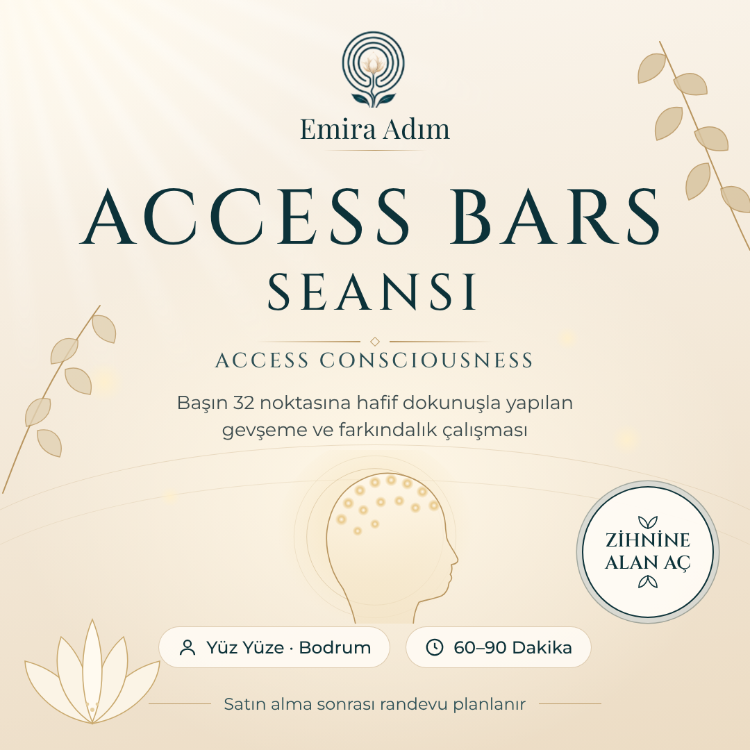 Access Bars Seansı (Yüzyüze)