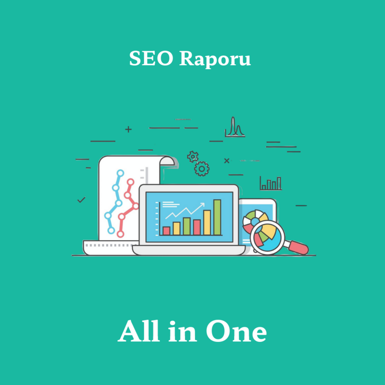 SEO Raporları - All in One Rapor