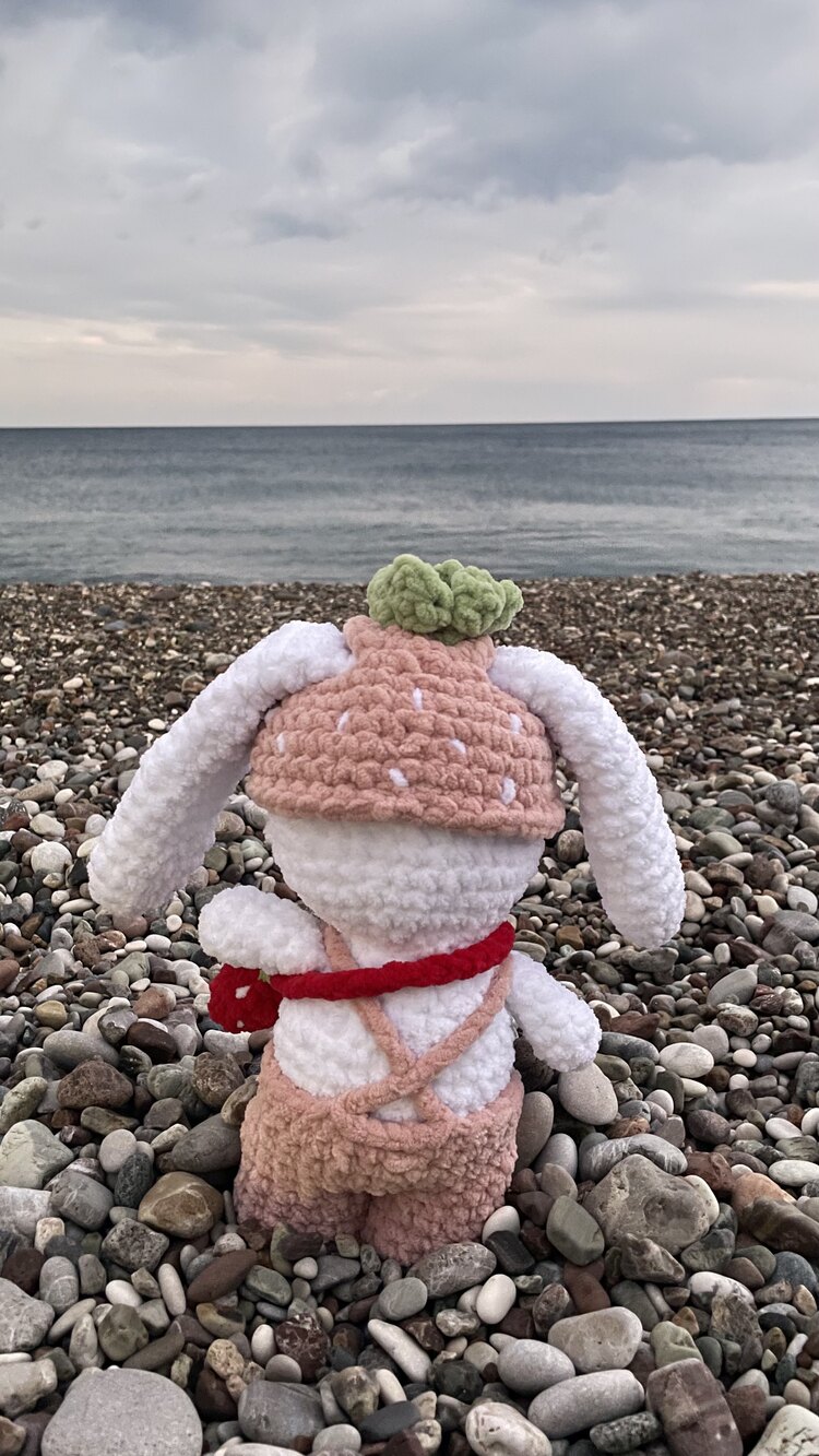 Çilek Bunny Plushie