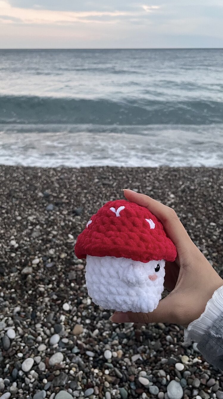 Örgü mini mantar