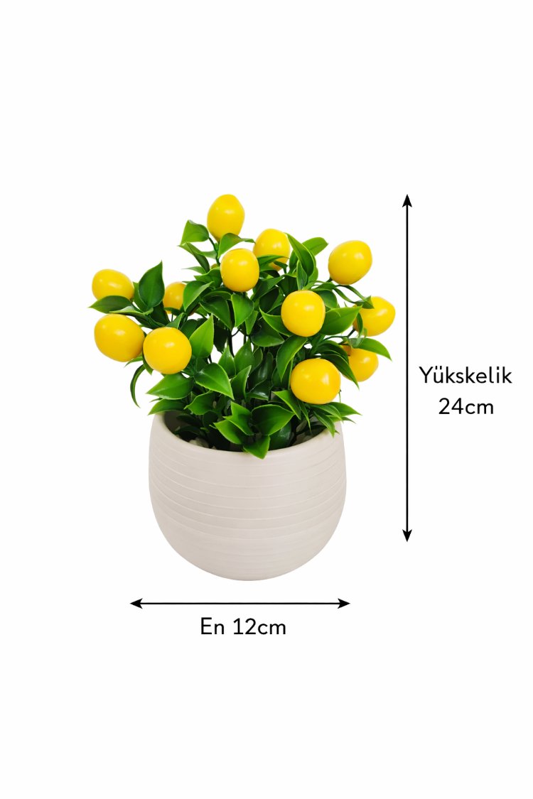 Yapay Limon Ağacı Saksılı