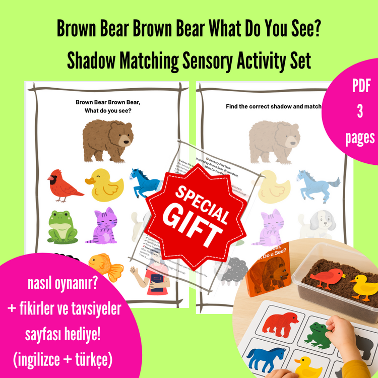 Brown Bear Shadow Matching – Duyusal Aktivite Seti (PDF)