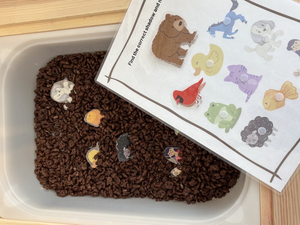 Brown Bear Shadow Matching – Duyusal Aktivite Seti (PDF)