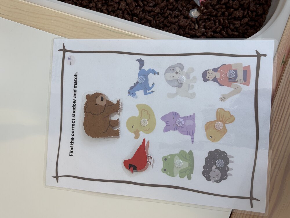 Brown Bear Shadow Matching – Duyusal Aktivite Seti (PDF)