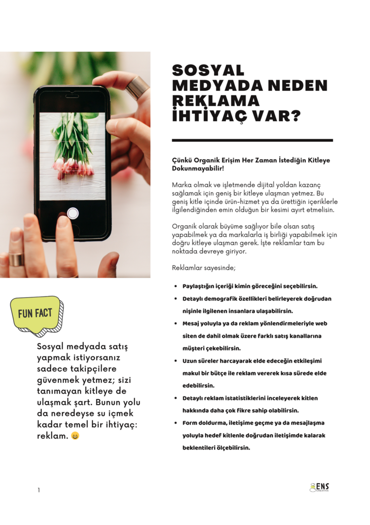 Beğeniden Satışa Dijital Reklamlar 1.0