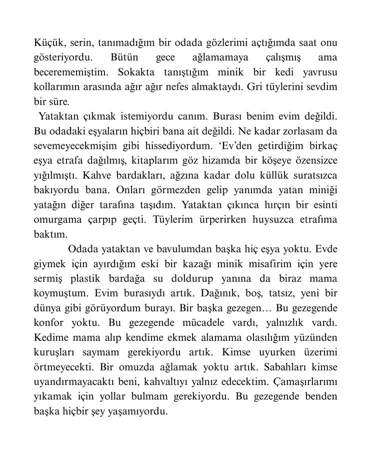 Atlıkarınca - e-Kitap