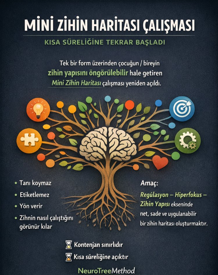 MİNİ ZİHİN HARITASI