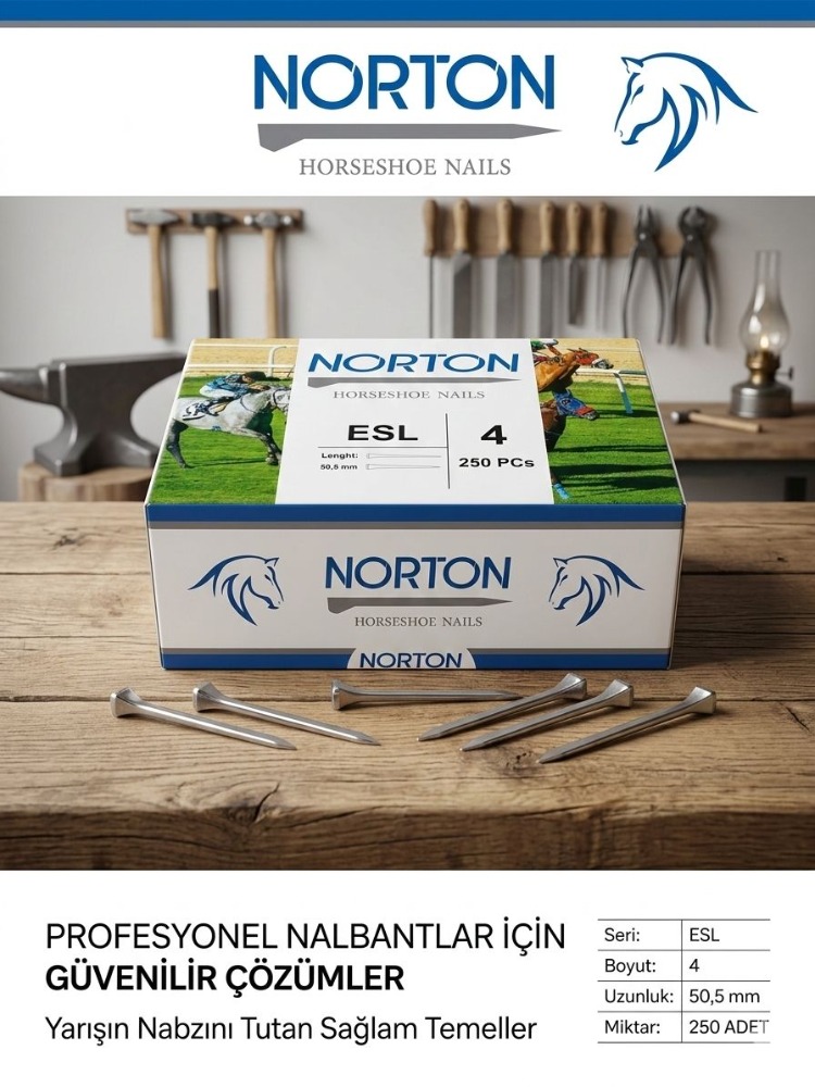 NORTON NAL ÇİVİSİ ESL4
