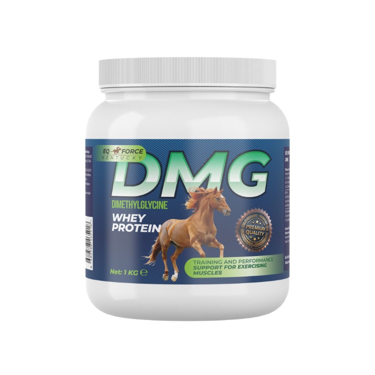 DMG 1KG EQ FORCE KENTUCKY