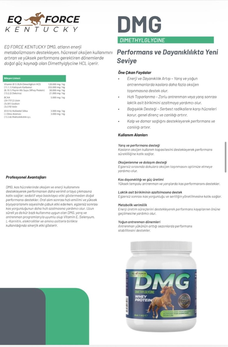 DMG 1KG EQ FORCE KENTUCKY