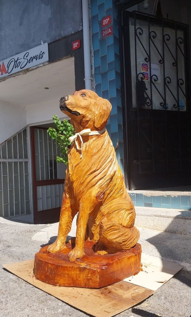 golden retriever