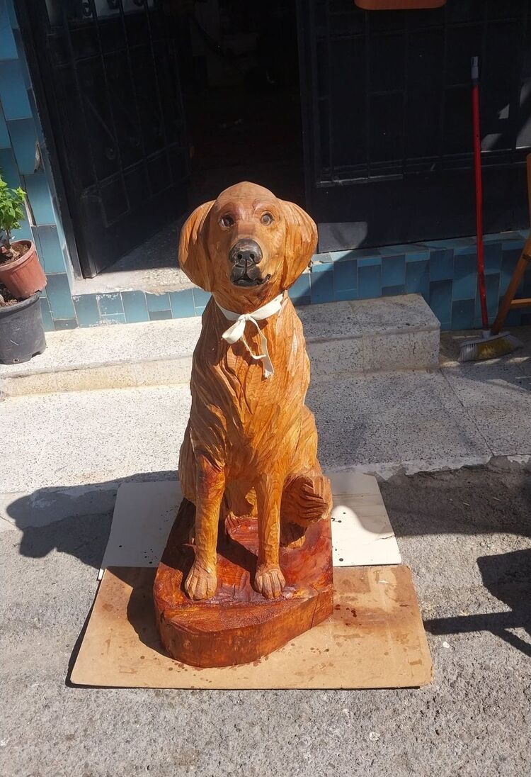 golden retriever