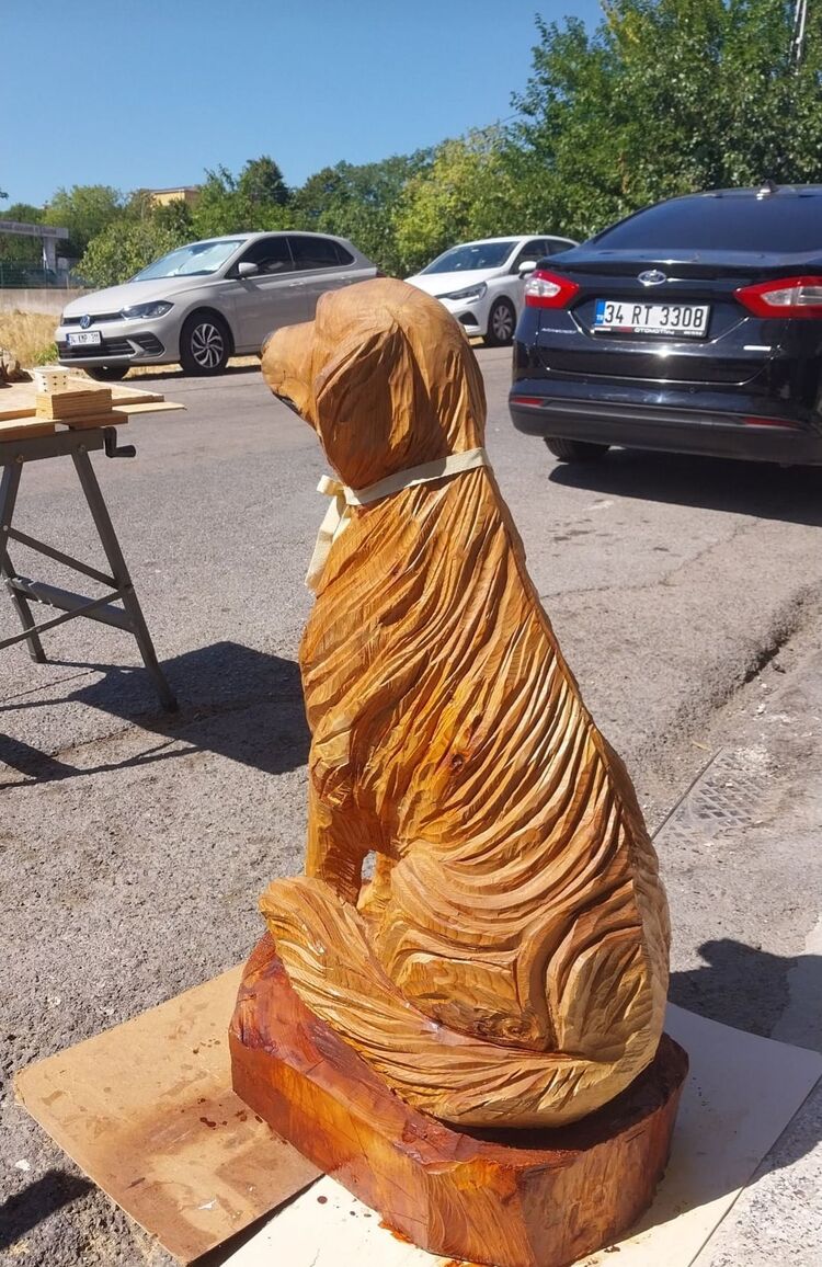golden retriever