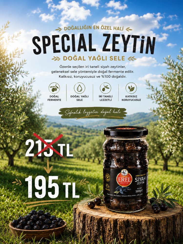 500 Gr Special Zeytin (181-230)
