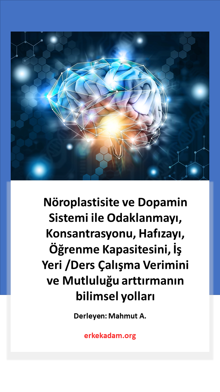Nöroplastisite 201 - Nöroplastisite ve Dopamin Sistemi ile Odaklanma, Hafıza